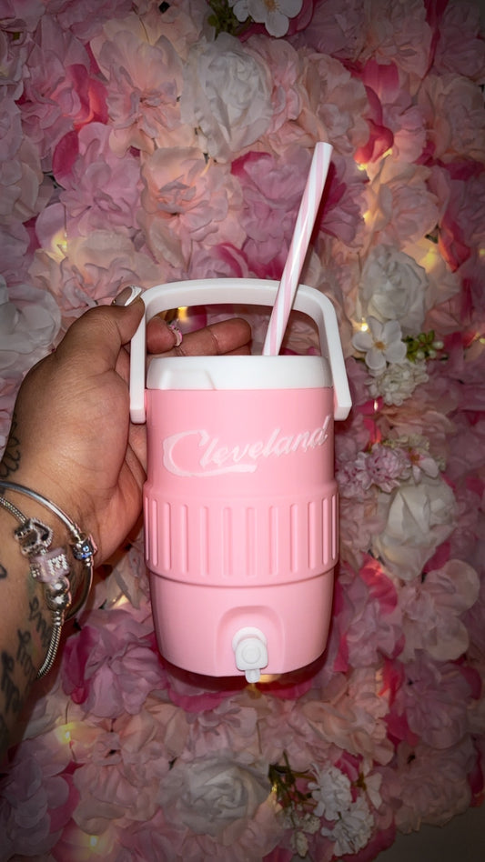 12 oz Koozie