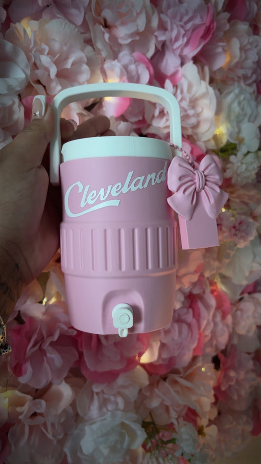 12 oz Koozie